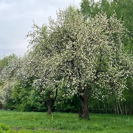Przy Suntago - Pienki I Towarzystwo Apartment