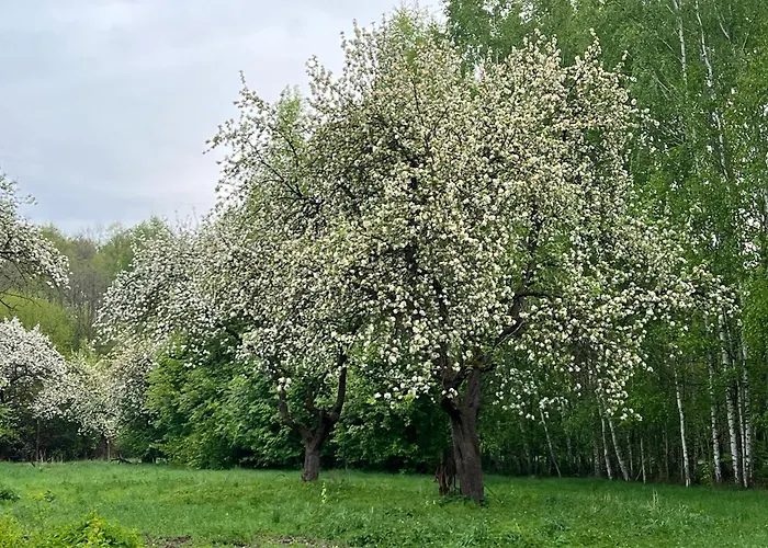 Przy Suntago - Pienki I Towarzystwo Apartment